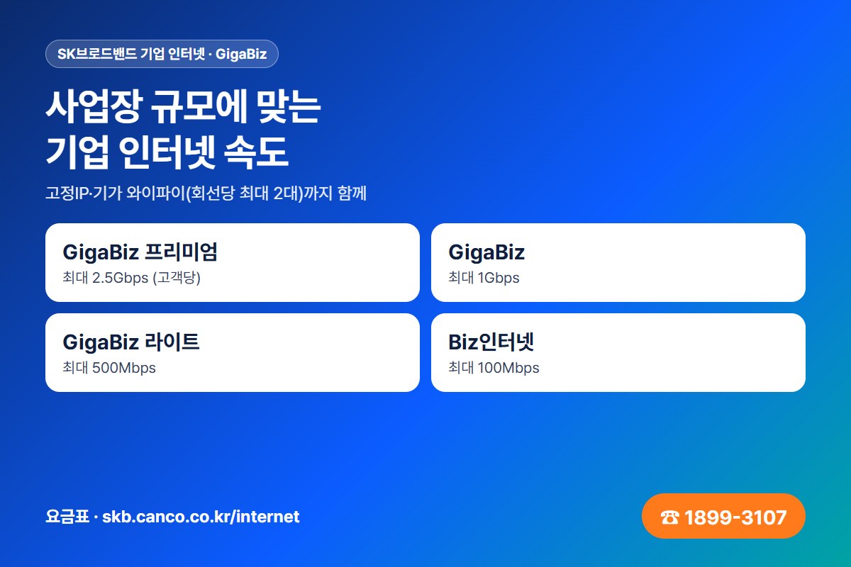 SK브로드밴드 기업 인터넷 GigaBiz 속도별 상품