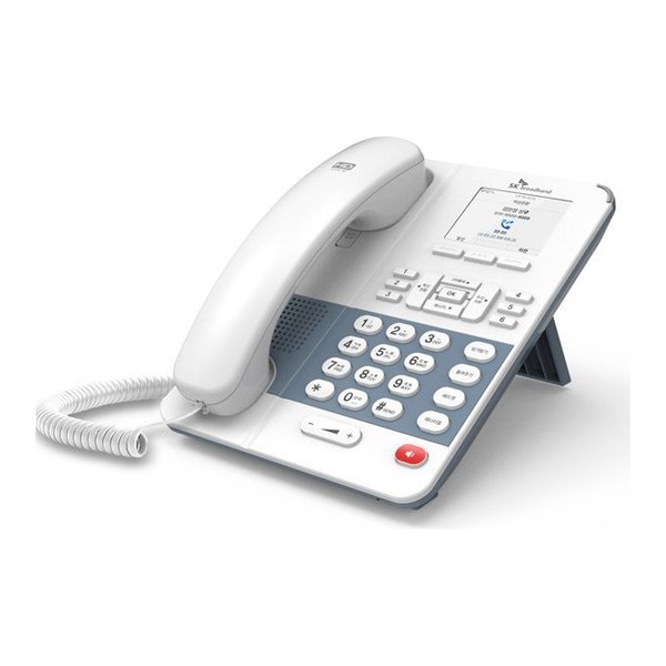 IP590G (누리보이스)